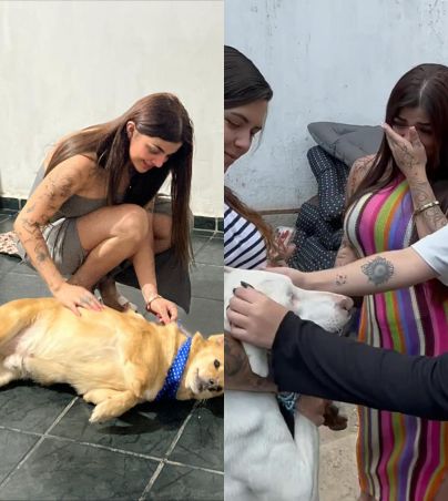 La influencer estrella de OnlyFans se pronuncia a favor de los animales sin hogar, visita refugio y les lleva comida. ESPECIAL