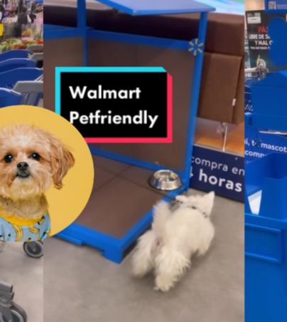 Lleva a tu mascota de compras, este supermercado en México implementó estas medidas "petfriendly" (VIDEO). TIKTOK/Mrsandmrfoodies UNSPLASH/Karsten Winegeart