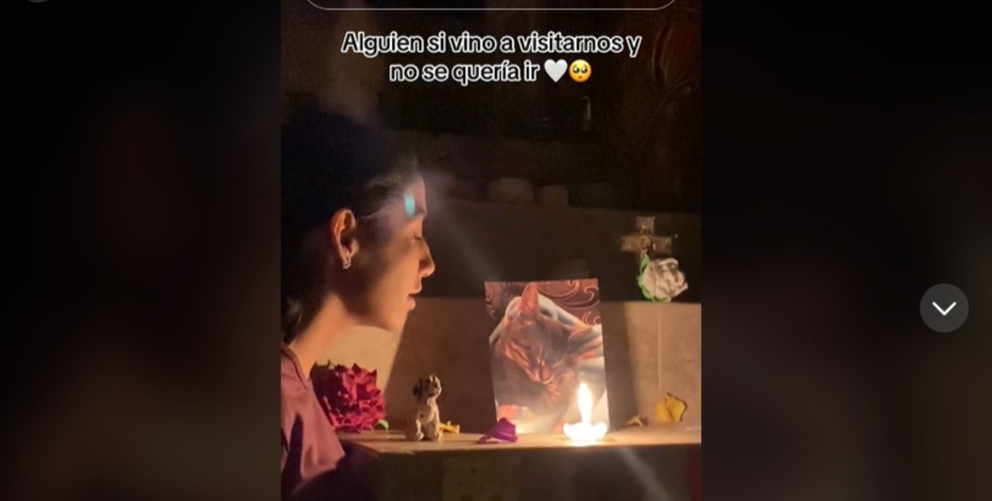 Chica no se puede despedir de su "michi" en su altar de muertos y el video se vuelve viral en TikTok (VIDEO). TIKTOK/@karenrdz1805