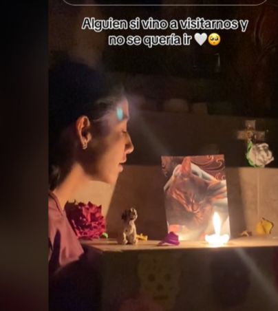 Chica no se puede despedir de su "michi" en su altar de muertos y el video se vuelve viral en TikTok (VIDEO). TIKTOK/@karenrdz1805