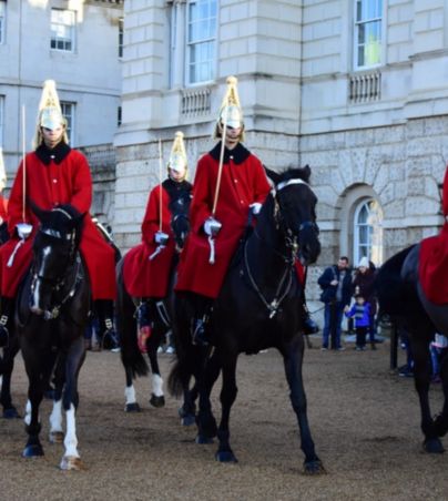 Tremendo gesto de un caballo nadie podía creer lo que ocurrió. Facebook/Tour Londres