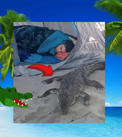 Cocodrilo descansa junto a joven dormido en la playa y se vuelve viral (VIDEO). FACEBOOK/Noticias al Momento